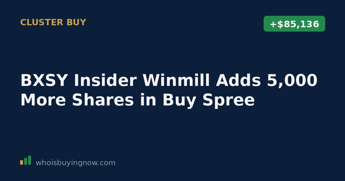 Chart showing insider stock purchases at Bexil Investment Trust (BXSY) over one week