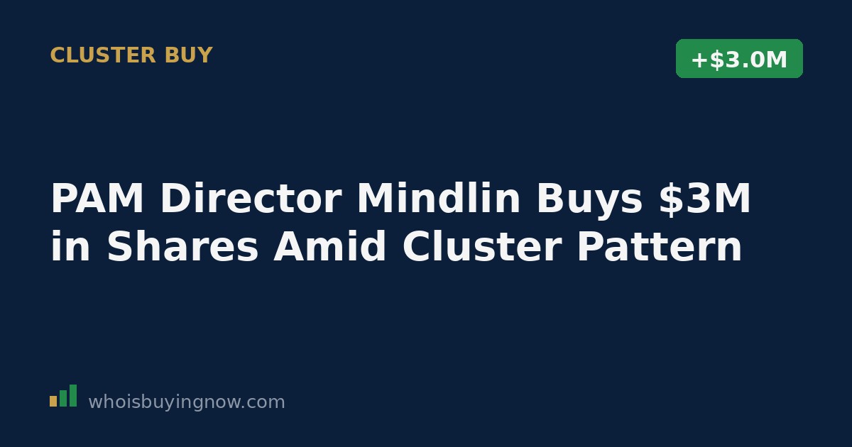 Chart showing insider stock purchase activity for Pampa Energy Inc. (PAM) in August 2026