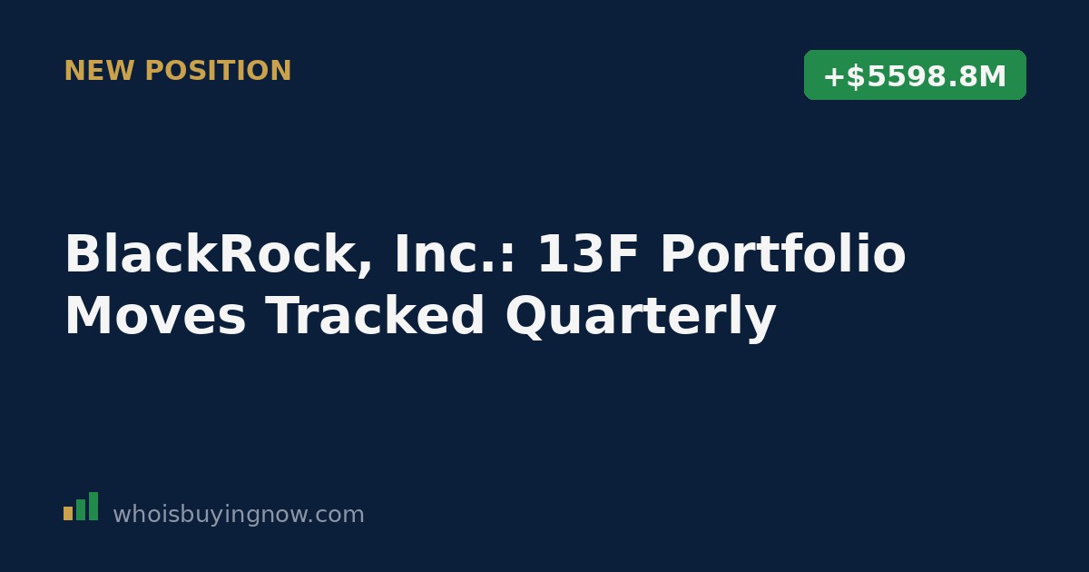 Chart tracking BlackRock, Inc.'s quarterly 13F portfolio moves, including new positions and increased holdings.