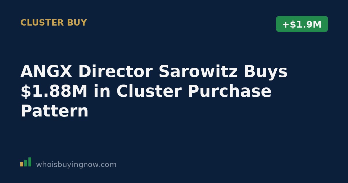 SEC Form 4 filing showing insider stock purchase details for Angel Studios director Steven Sarowitz