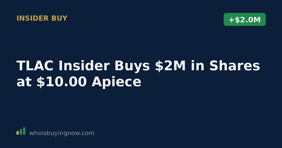 SEC Form 4 filing document showing an insider stock purchase by Three Lions Sponsor LLC in Three Lions Acquisition Corp
